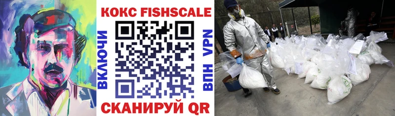 МЕГА ссылка Вилюйск Cocaine Fish Scale где купить наркотик