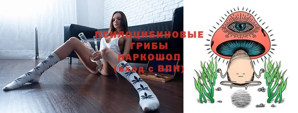 PSILOCYBIN Абаза