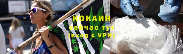 хмурый Ветлуга