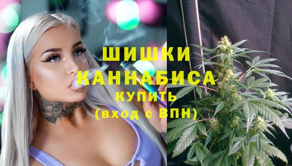 СК Пролетарск