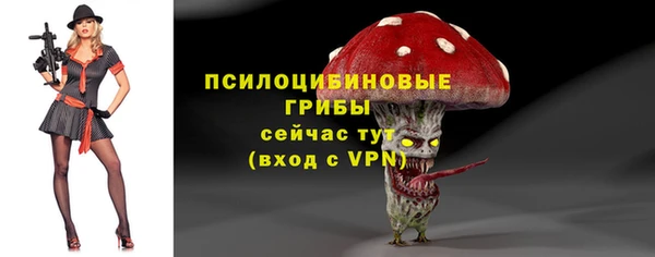 ECSTASY Протвино