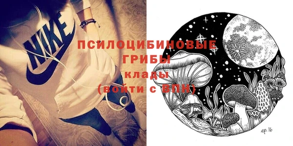 PSILOCYBIN Абаза