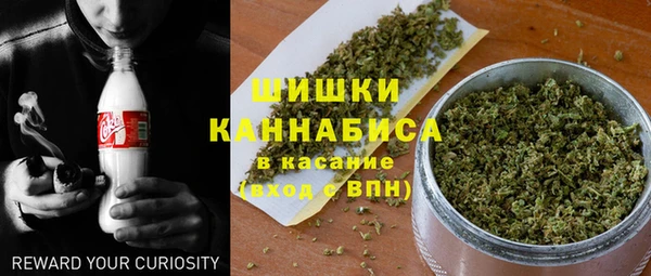 ПСИЛОЦИБИНОВЫЕ ГРИБЫ Весьегонск