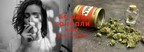 PSILOCYBIN Абаза